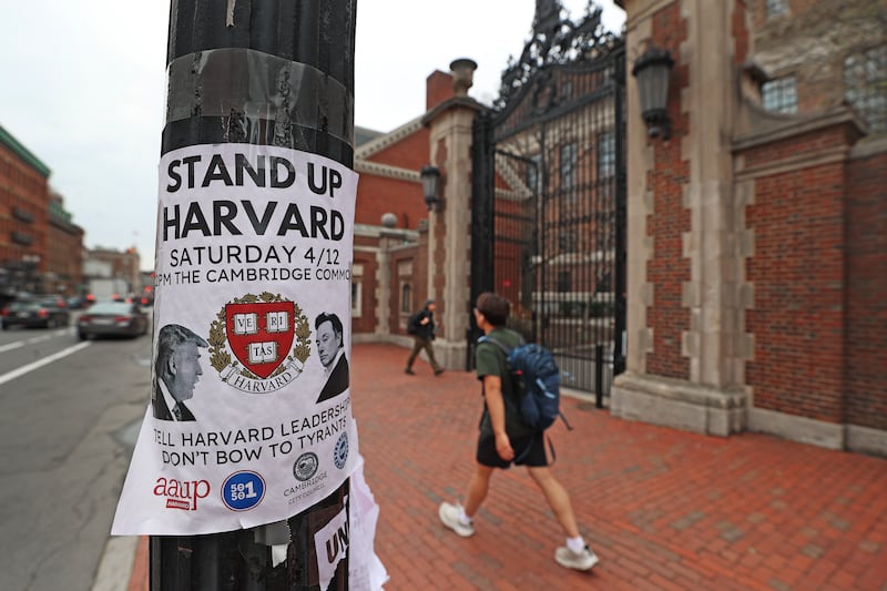 A poster for a protest is pinned to a telephone pole at Harvard University amid mass funding cuts.